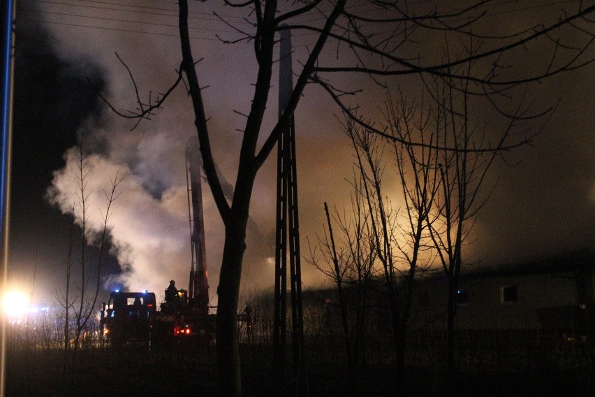  Pożar w Wojsławicach. Spłonęła hala z maszynymi w zakładzie "Drewzel" [ZDJĘCIA, FILM]