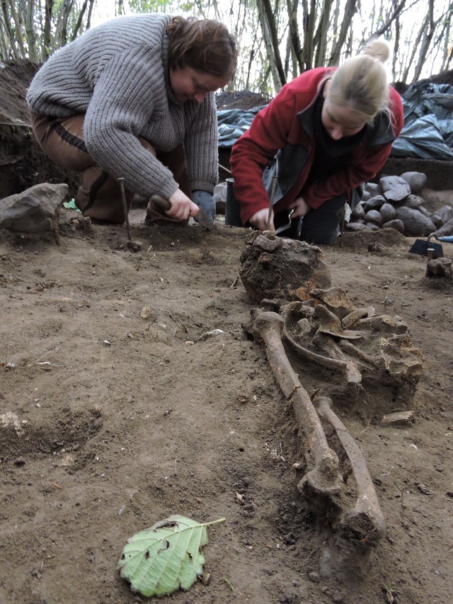Stare cmentarzysko, które znajduje się w okolicach Szczyt Dzięciołowa, rozkopują archeolodzy z PAN. Jeden z odkrytych pochówków krył szkielet młodej dziewczyny, która żyła tu jakieś 800 lat temu. A to nie jedyne ciekawe znalezisko badaczy