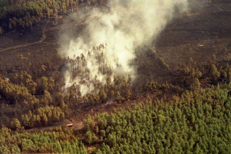 Pożar w okolicach Kuźni Raciborskiej. 1992 rok.