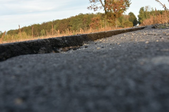 Firma budowlana z Brzegu, która wygrała przetarg, nie spieszy się z remontem drogi.Stan techniczny ścieżki nie jest najlepszy. Na różnych fragmentach drogi widoczne są duże pęknięcia nawierzchni oraz głębokie szczeliny. Dla rowerzysty, który najedzie na nie, może się to skończyć dla nas tragicznie.Nowa ścieżka rowerowa została wykonana na nasypie zlikwidowanej i rozebranej w 2006 roku linii kolejowej nr 321 prowadzącej od Grodkowa do granicy z gminą Przeworno.