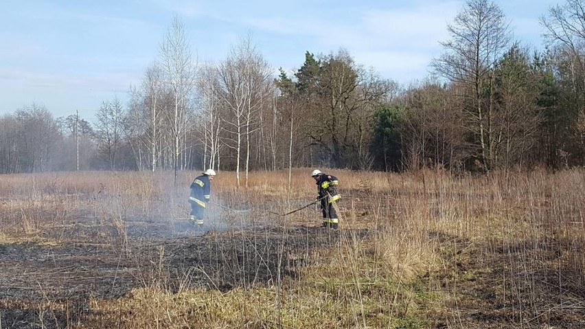 Seria pożarów traw w powiatach bocheńskim i brzeskim