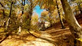 Park Mużakowski jesienią jest cudowny. Prawdziwa feeria barw. Te kolory oszałamiają. Zobaczcie sami!