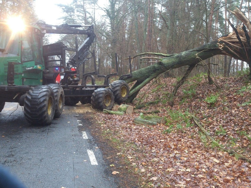 OSP KSRG Mieszkowice interweniowała o godz. 8.50 na drodze...