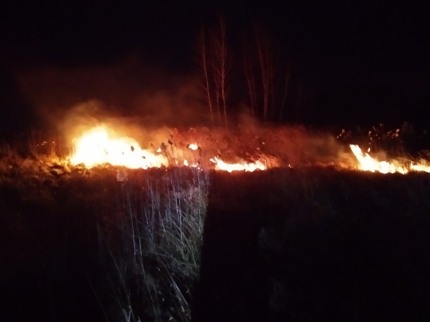 Choć jest kalendarzowa zima, wiosenna pogoda panująca w...