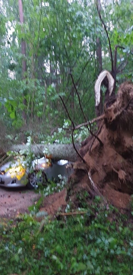 W Wigrach podczas burzy drzewo przewróciło się na samochód