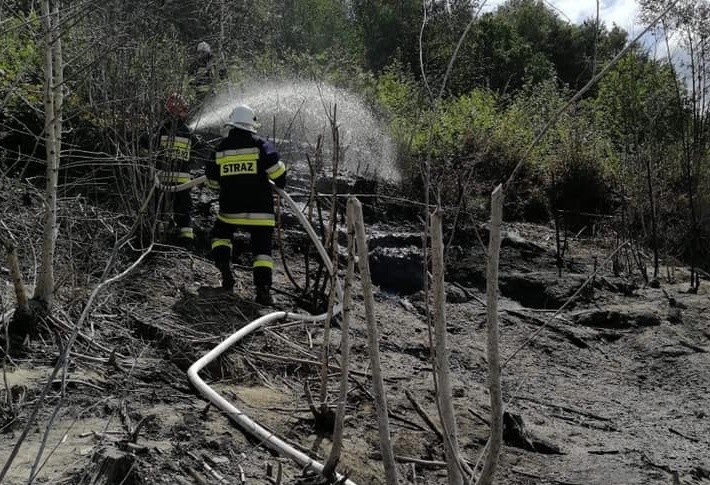 Pożar na dnie Jeziora Mucharskiego. Zapaliły się śmieci i gałęzie naniesione przez wodę