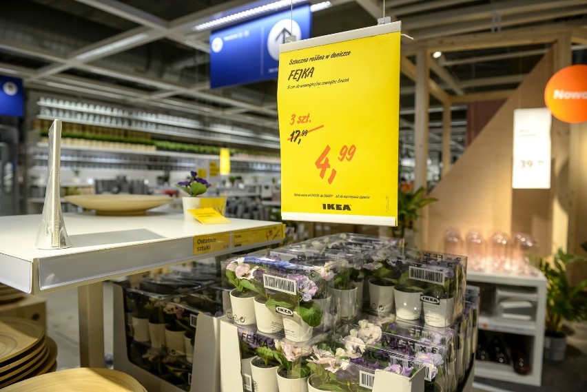 Ikea otwiera pierwszy sklep z używanymi meblami. Zanim trafią do sprzedaży, zostaną naprawione. Otwarcie jeszcze w tym roku