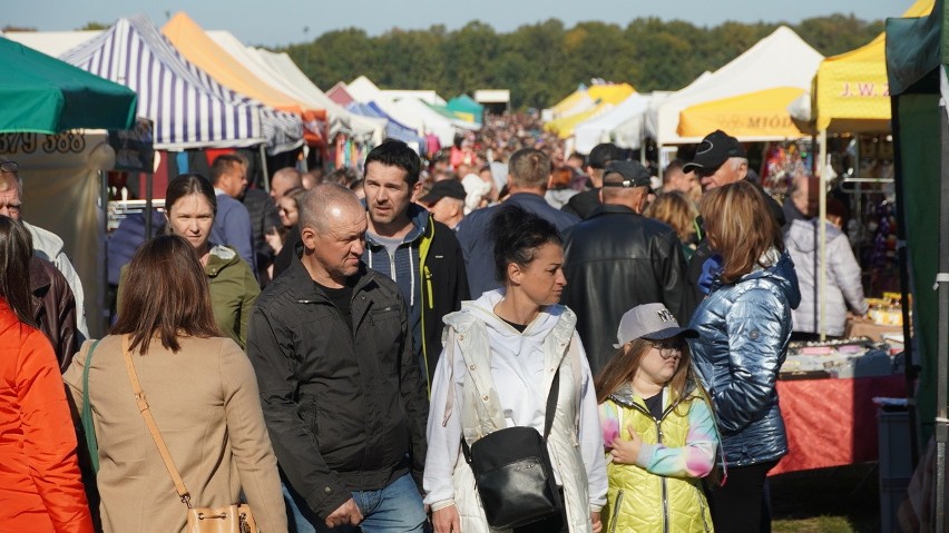 Szepietowo. Jesień w sadzie i w ogrodzie oraz „Piknik Rodzinny”. Targi ogrodnicze przyciągnęły tłumy (ZDJĘCIA)