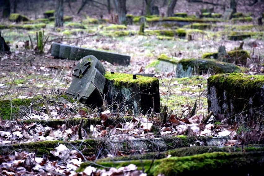 W Lubuskiem mamy wiele starych cmentarzy. Często znajdują...
