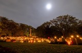 Wygląda magicznie! Tak prezentuje się nocą wyjątkowy cmentarz w Poznaniu. Zobacz niesamowite zdjęcia