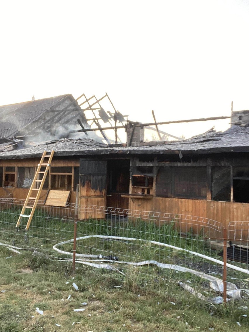 Pożar budynku gospodarczego w miejscowości Brzyszów ul...