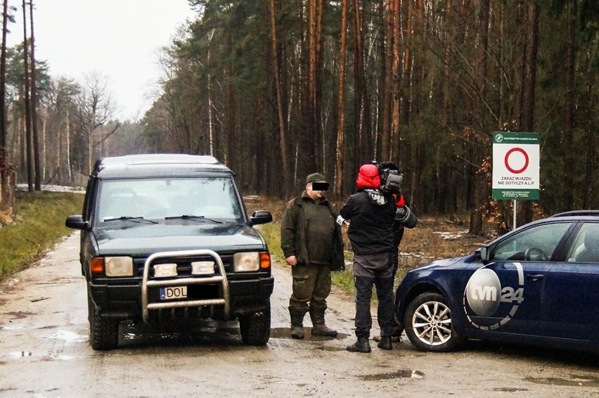 Pod Wrocławiem myśliwi nie postrzelali do dzików. Przyjechała policja (ZDJĘCIA)