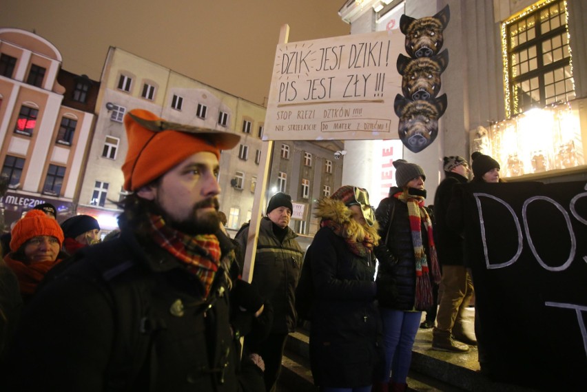 „Nie dla masowego odstrzału dzików” - demonstracja w...