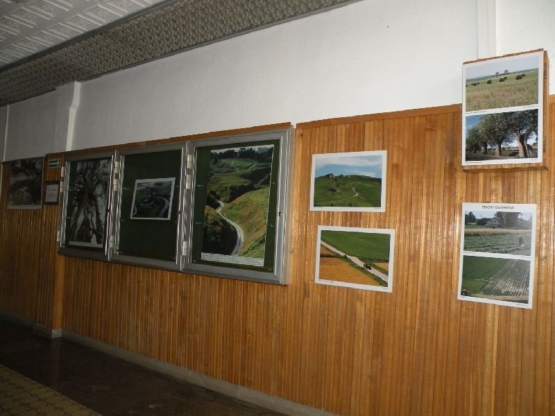 Piękno terenów Ponidzia i informacje o trzech parkach krajobrazowych na wystawie