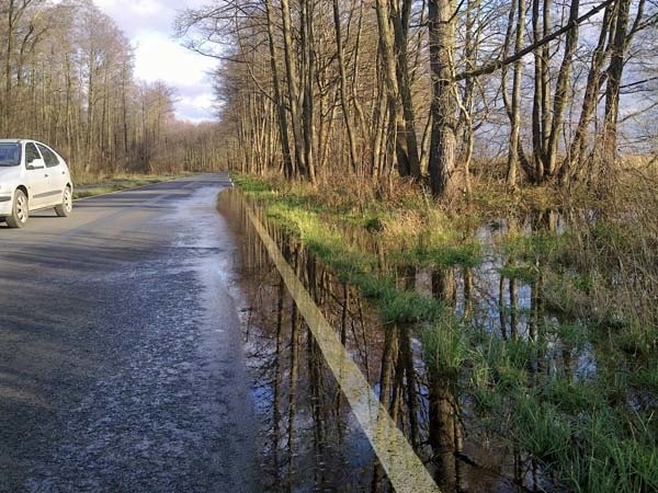 Woda już w weekend zaczęła wdzierać się na jezdnię trasy Unieście &#8211; Łazy. Wczoraj zalana była już prawie połowa asfaltu. Drogowcy ustawili tu znaki ostrzegające o niebezpieczeństwie.