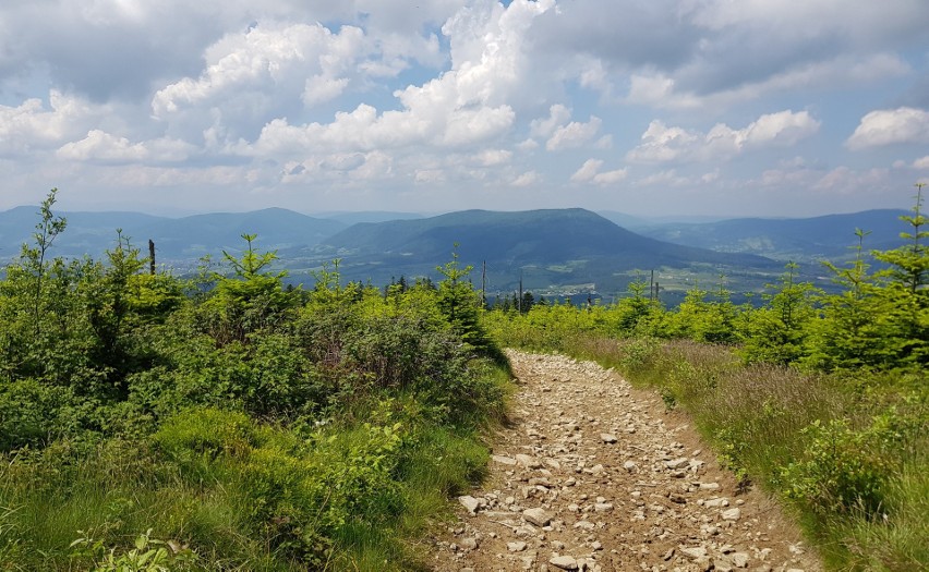 Odkryj Beskid Wyspowy. 20 lipca niezwykły nocny złaz na Ćwilinie