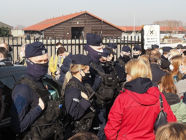 Licytowano konie ze stadniny w Wiączyniu Dolnym należącej do Zbigniewa K., właściciela zakładów mięsnych „Zbyszko”.