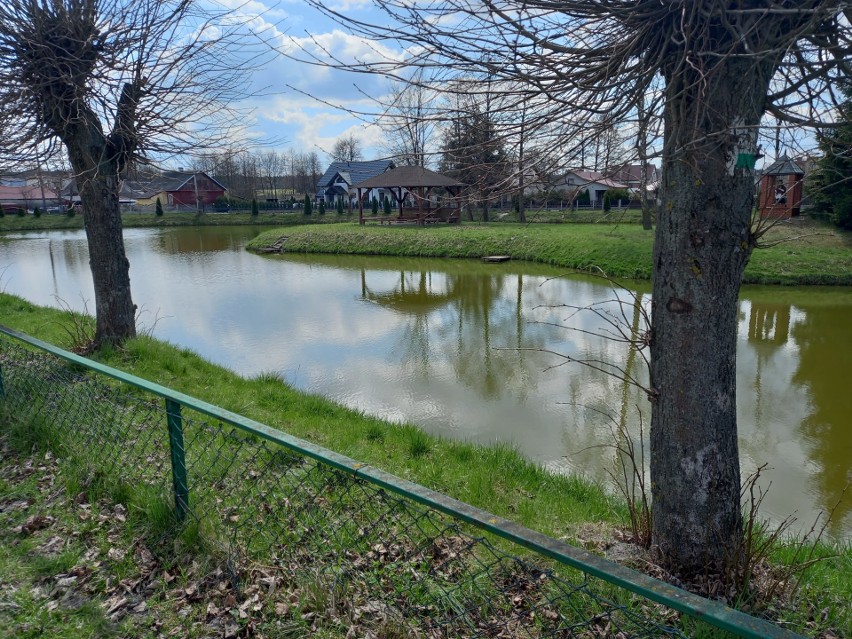 Rewitalizacja zbiornika wodnego w centrum Krasocina. Odmulenie stawu, nowe ławeczki i ogrodzenie, remont pomostu. Koszt 95 tysięcy złotych