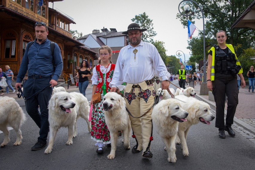 Malowniczy korowód, który 15 sierpnia przeszedł ulicami...