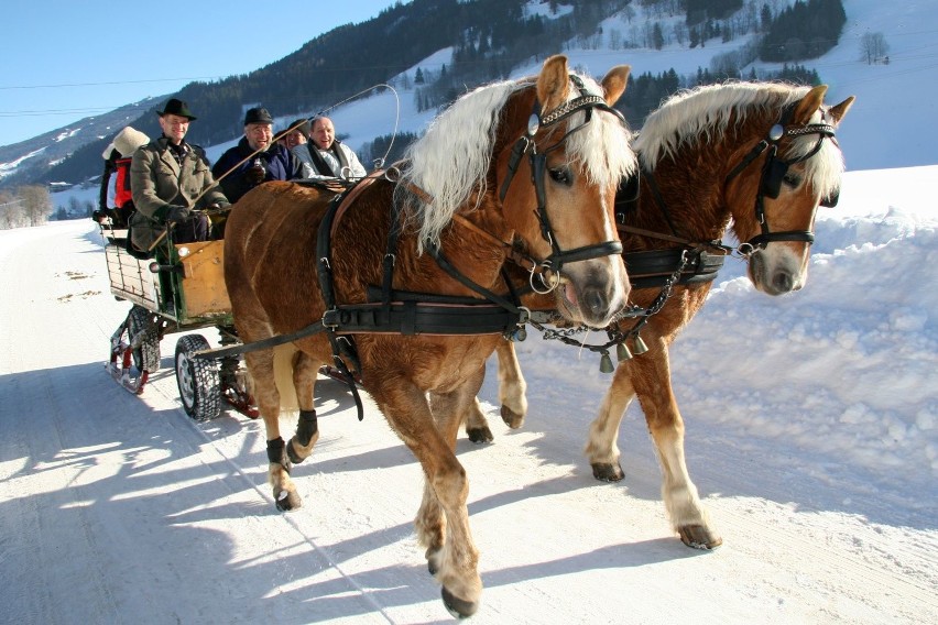 Rodzinne ferie na nartach w Austrii: Schladming-Dachstein