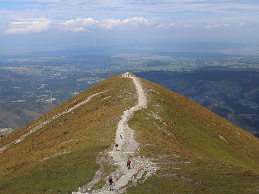 Grzbiet Czerwonych Wierchów bierze swą nazwę od porastającej...