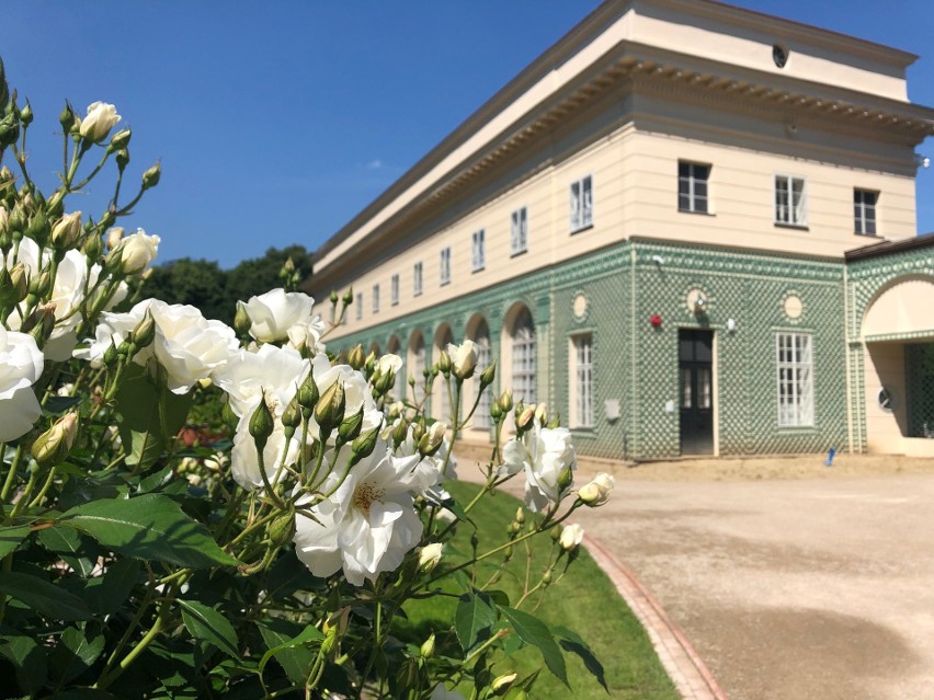 Chcesz zobaczyć jak wyglądają odnowione łańcucka Oranżeria i Ujeżdżalnia? Muzeum - Zamek zaprasza od 24 czerwca! 