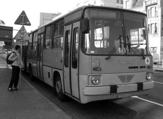 Zajrzeliśmy do starego planu miasta Poznania, który został wydany w 1983 roku. W tym czasie po stolicy Wielkopolski można było podróżować kilkoma liniami autobusowych o oznaczeniach literowych. Sprawdź, czy pamiętasz, jakimi trasami jeździły autobusy J, K, P, S, W czy Z.Przejdź dalej --->