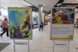 "Słodki dzień pszczoły" w CH Focus w Bydgoszczy, czyli gry, zabawy i pszczela wystawa [zdjęcia]