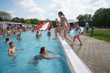 Pływalnie w Poznaniu i okolicach oblężone! Zobacz, jak poznaniacy chłodzą się w basenie w parku Kasprowicza          