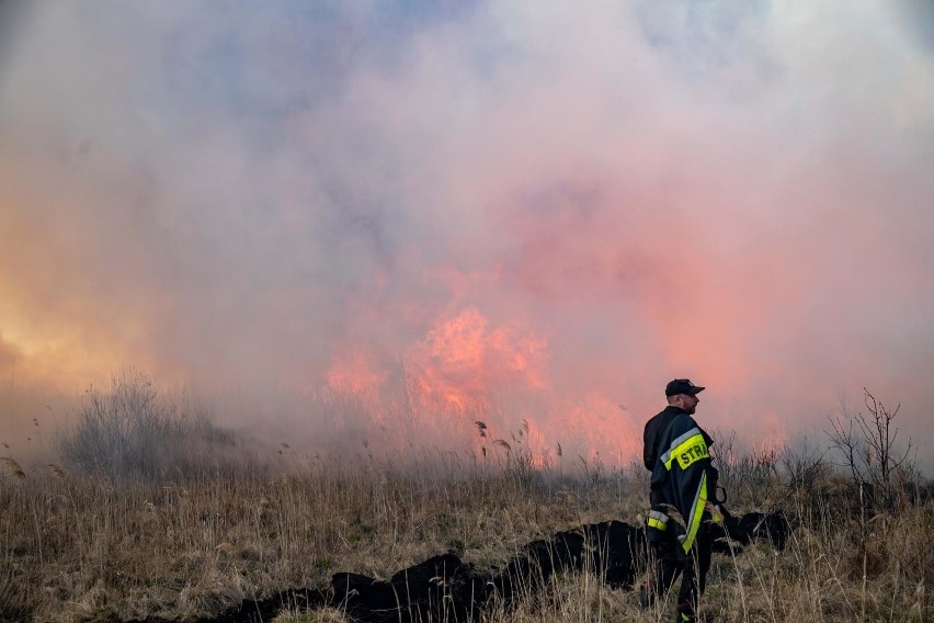 Pożar w Biebrzańskim Parku wybuchł 19 kwietnia i strawił...