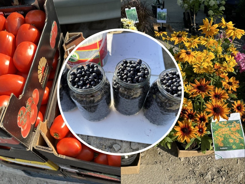 W jakiej cenie na giełdzie w Sandomierzu można kupić jagody,...