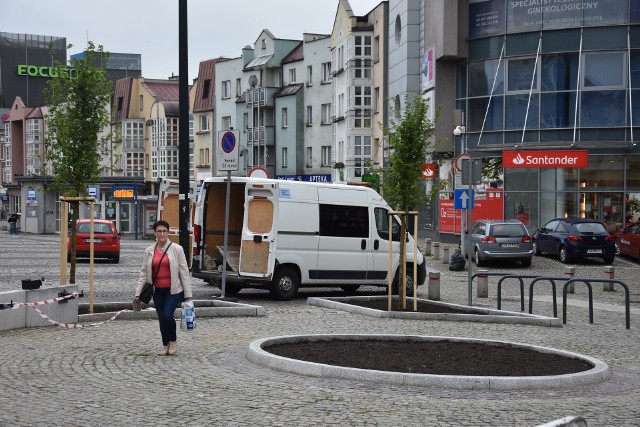 Nowy skwer w Rybniku przy Placu Wolności już z drzewami. Dziś montują ławeczki