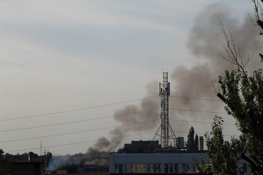 Pożar w Wifamie. Strażacy gasili płonący pustostan [ZDJĘCIA+FILM]