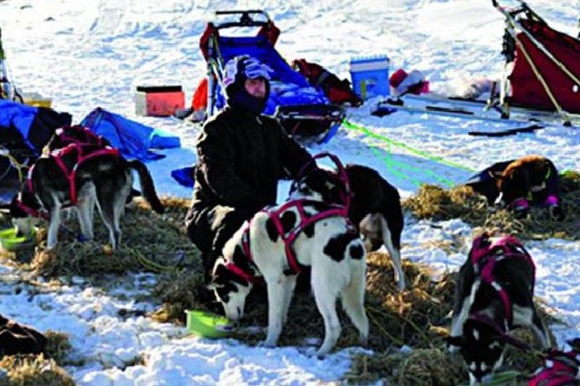 Dariusz Morsztyn razem ze swoimi psami przed starem na jeden z etapów wyścigu Finnmarkslopet.