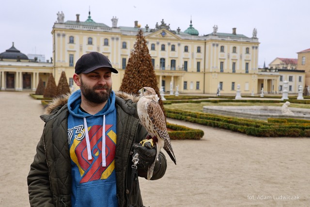 Gołębie doprowadziły do dewastacji "Pawilonu pod Orłem" znajdującego się w Ogrodach Branickich. Jedną z metod ich przepłaszania jest wypuszczanie drapieżnych ptaków