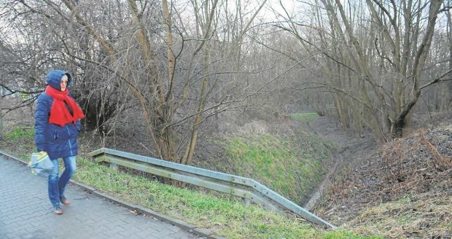 Nowe plany miejscowe dadzą ochronę zielonym terenom i pozwolą na tworzenie parku m.in. w okolicy ul. Bochenka
