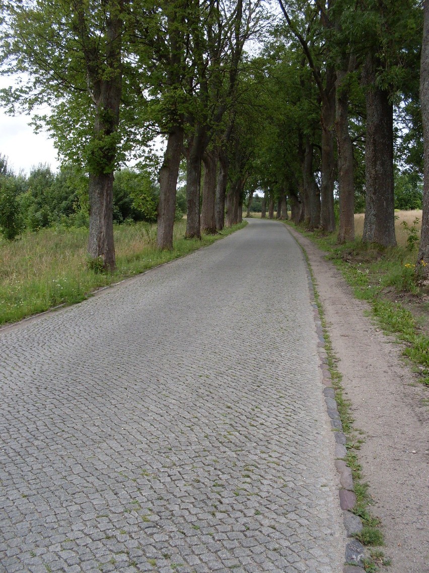 Historyczny Czwartek 2 czerwca poświęcony będzie organizacji...