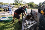 Niemieckie media: do wyginięcia ryb w Odrze mogły się przyczynić toksyczne algi 