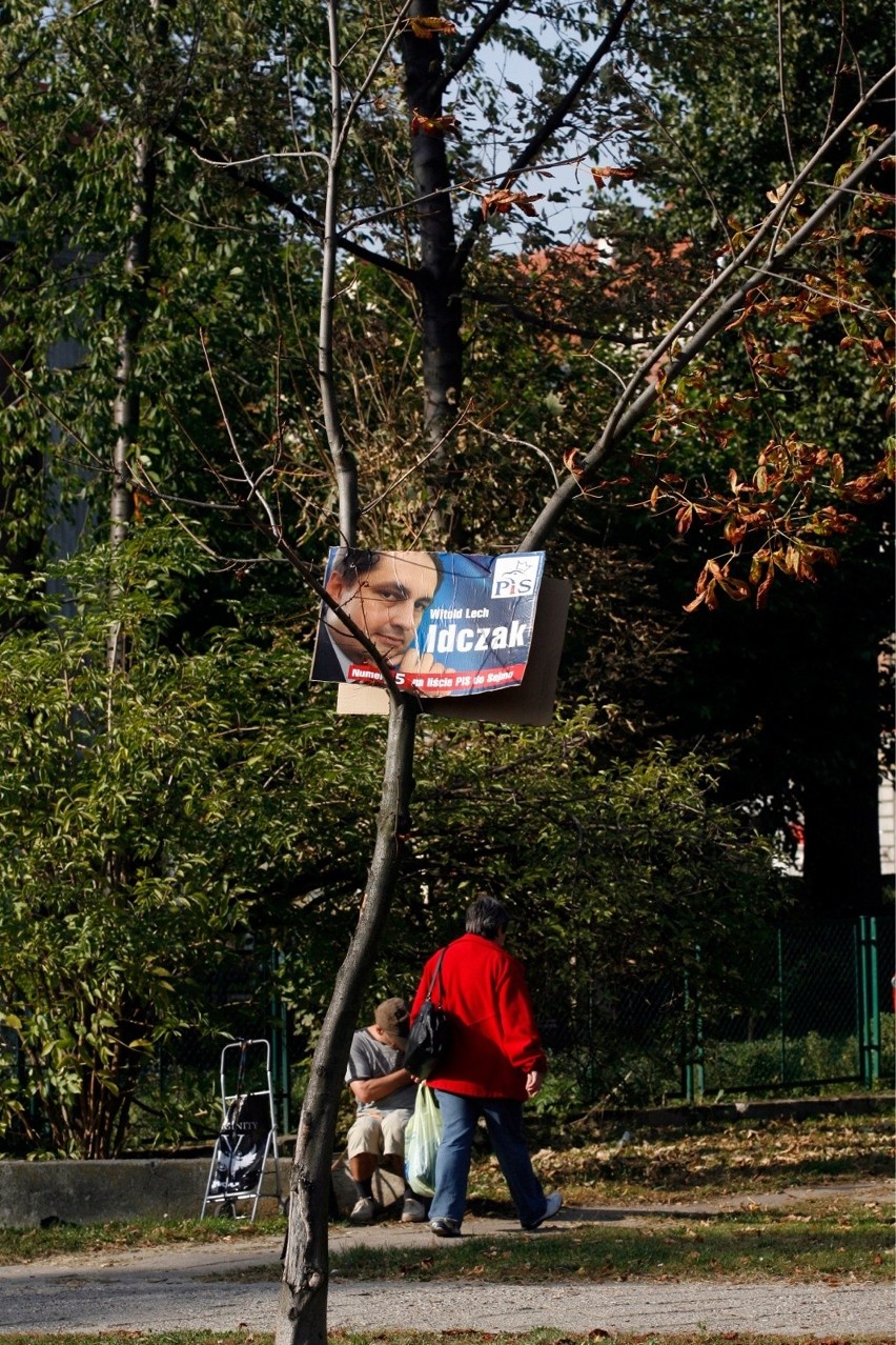 Legnica 2011. Obietnice rosną na drzewach