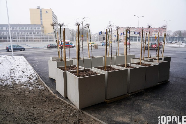 Dzięki mobilizacji mieszkańców i zebraniu ponad setki podpisów pod petycją w tej sprawie, urząd miasta zdecydował o przeniesieniu donic w inne miejsce. Póki co zabranych zostało 16 donic, które niebawem zazielenią rejon niedawno oddanego ponownie do użytku Opola Wschodniego.