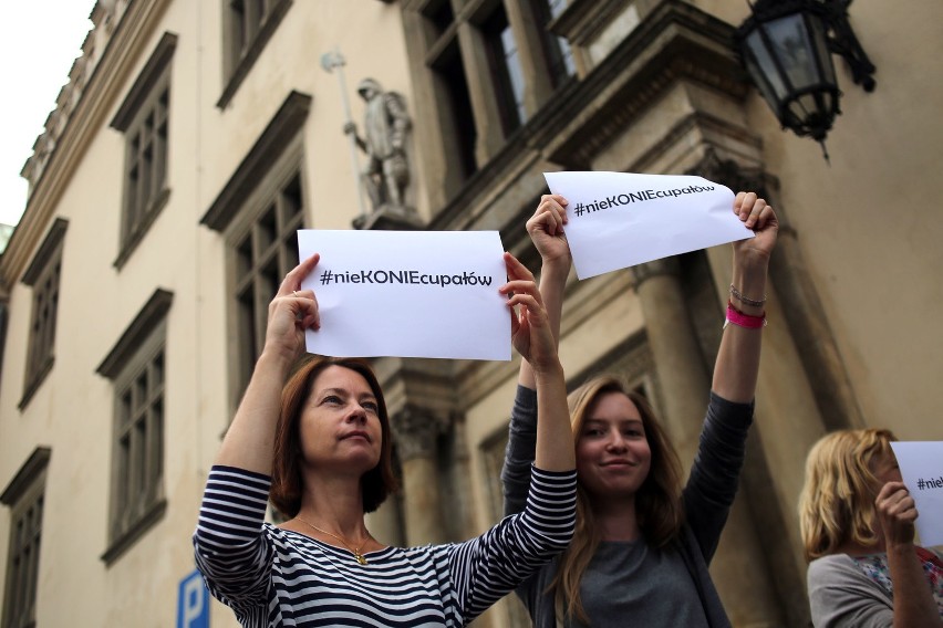 Kraków. Protest w obronie koni dorożkarskich [ZDJĘCIA]