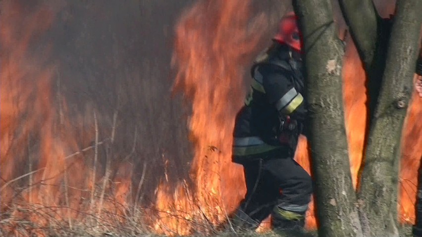 Ogień nad Kamienicą [ZDJĘCIA, WIDEO]