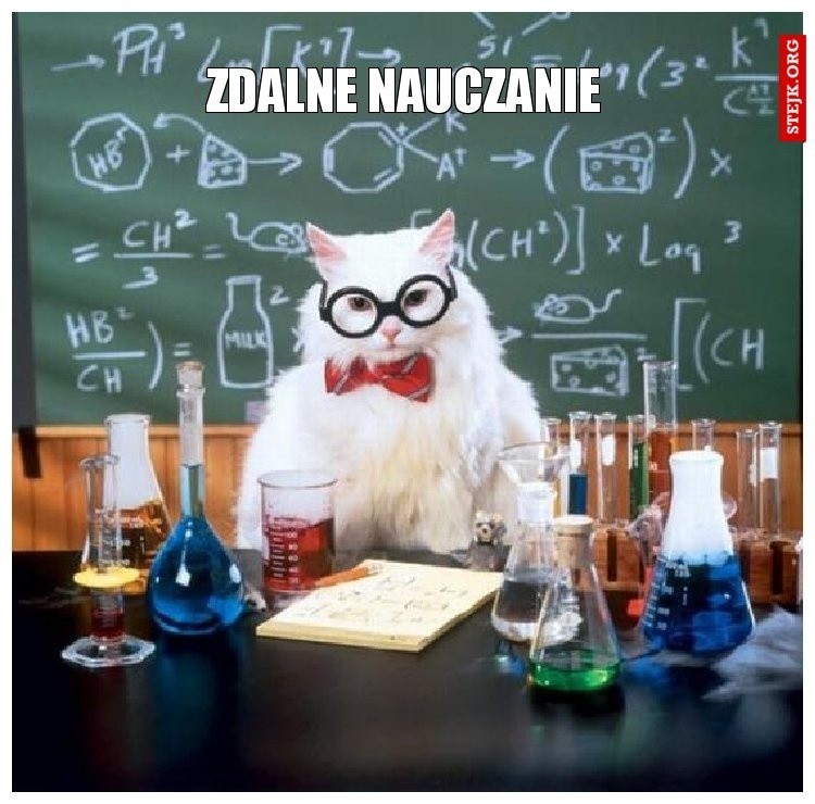 Zdalne nauczanie MEMY. Nauka na odległość w czasach pandemii...