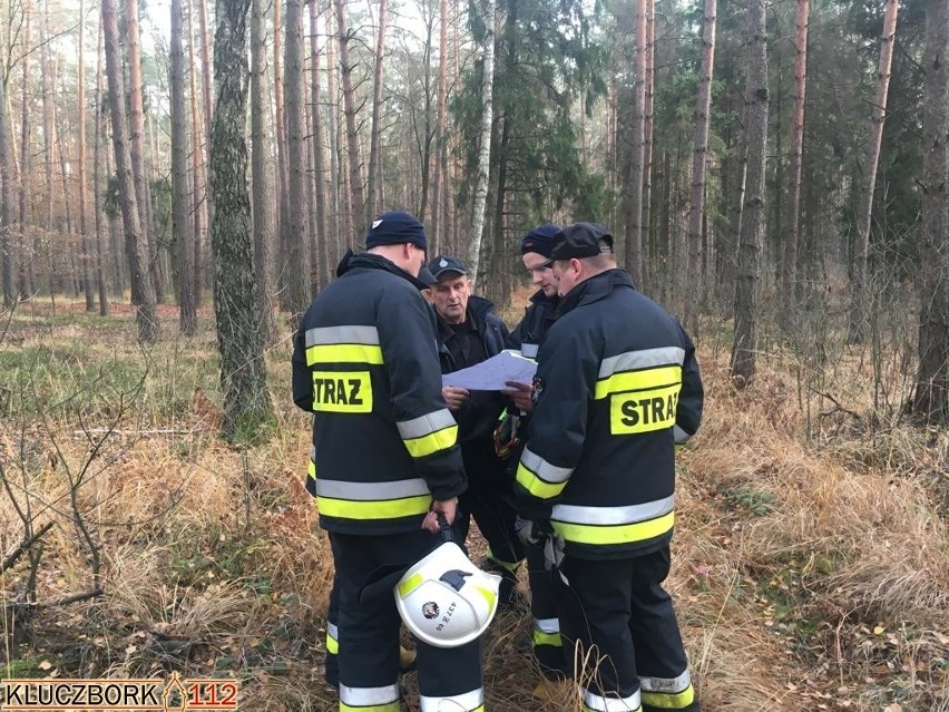 Akcja poszukiwawcza w Wołczynie.