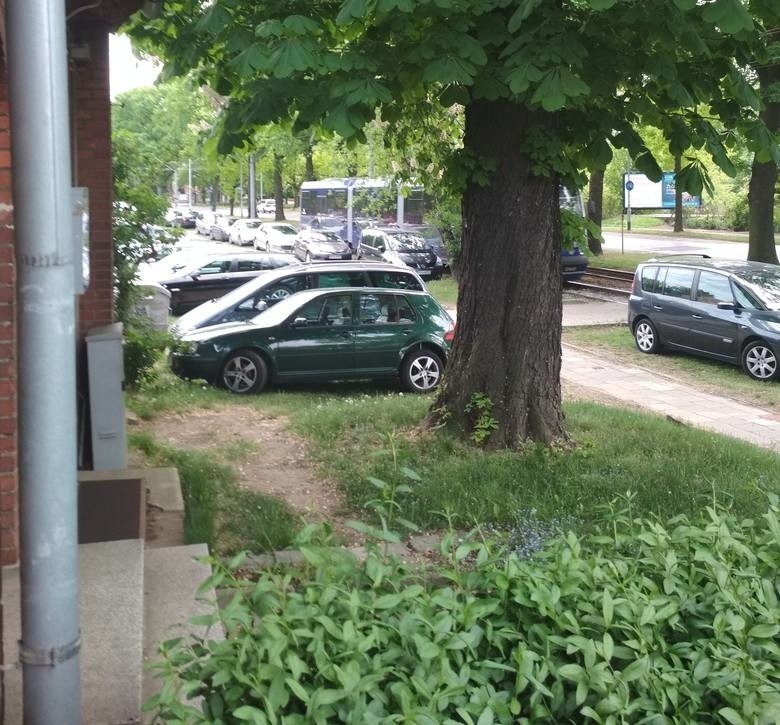 Parkowali na trawnikach i w parku przy zoo. Posypały się mandaty. Będą nowe słupki (ZDJĘCIA)