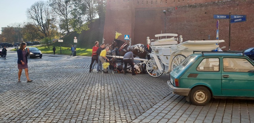 Kraków. Koń padł na ulicę ciągnąc dorożkę [ZDJECIA]