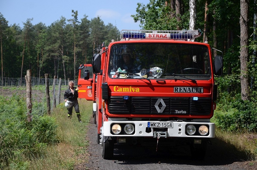 Gmina Garbatka-Letnisko. 20 zastępów i ponad 100 strażaków w leśnej akcji