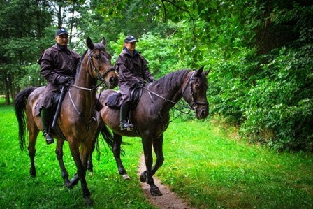 Konne patrole na Piotrkowskiej i w parku na Zdrowiu