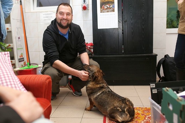 Jan Kuroń, syn Macieja, czyli wnuk Jacka Kuronia, w niedzielę wieczorem razem z ciężarną żoną przyjechali specjalnie z Warszawy do chojnickiego „Przytuliska” po... „swojego” psa. Wiąże się z tym ciekawa historia, bowiem piesek ten, zanim trafił do schroniska mieszkał już u państwa Kuroniów, którzy przygarnęli go z ulicy. Później oddali go do małżeństwa z Chojnic, a ci z powodów rodzinnych przekazali go do schroniska. Całą historię oraz rozmowę wideo z Janem Kuroniem można czytać i oglądać na plus.pomorska.pl