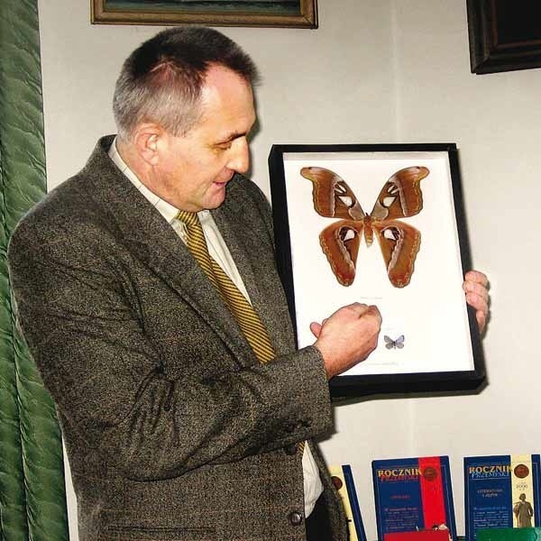 Adam Górnicki, odkrywca przemyskiego stanowiska modraszka Rebeli, prezentuje unikalnego motylka (na zdjęciu poniżej).